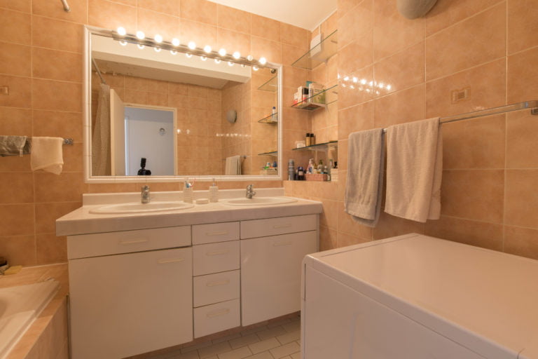 appartement vente achat Paris 15ème 75015 parquet luminosité Javel Charles Michels Emile Zola