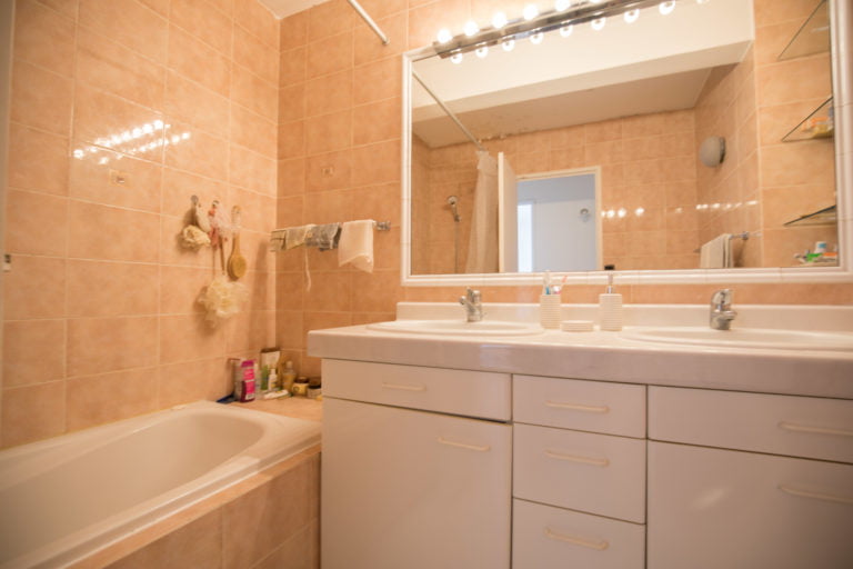 appartement vente achat Paris 15ème 75015 parquet luminosité Javel Charles Michels Emile Zola
