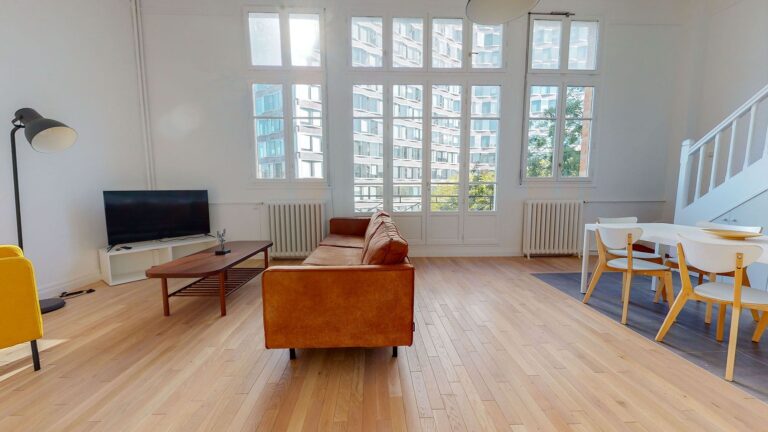 location duplex paris 15èem agence IMMOTEC vue Seine