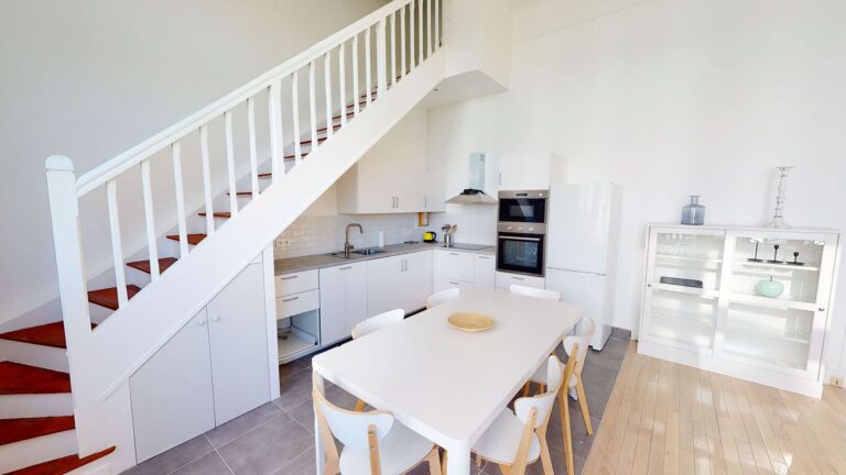 location duplex paris 15èem agence IMMOTEC vue Seine