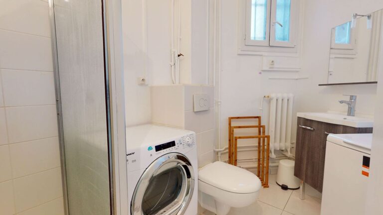 location duplex paris 15èem agence IMMOTEC vue Seine