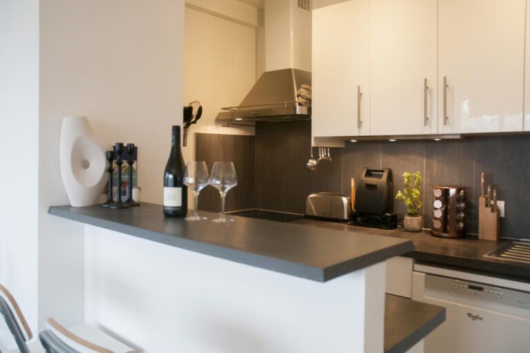 3 pièces location Beaugrenelle Agence IMMOTEC