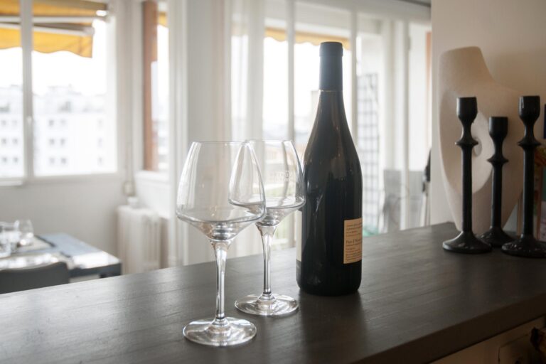 3 pièces location Beaugrenelle Agence IMMOTEC