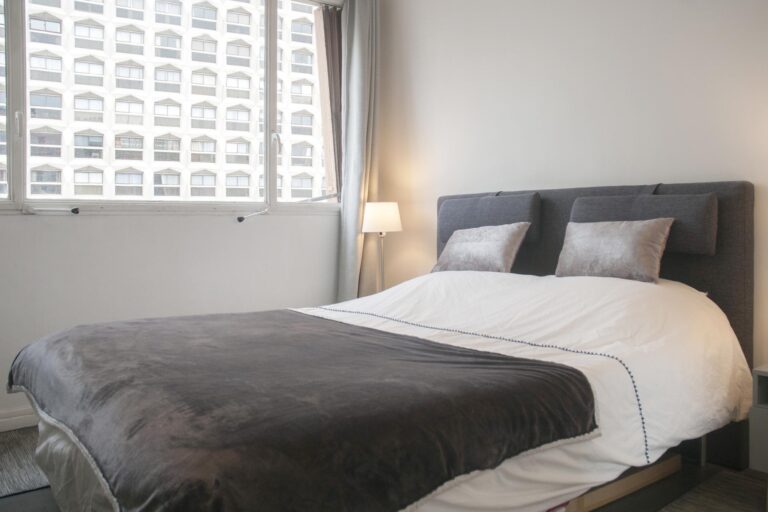 3 pièces location Beaugrenelle Agence IMMOTEC